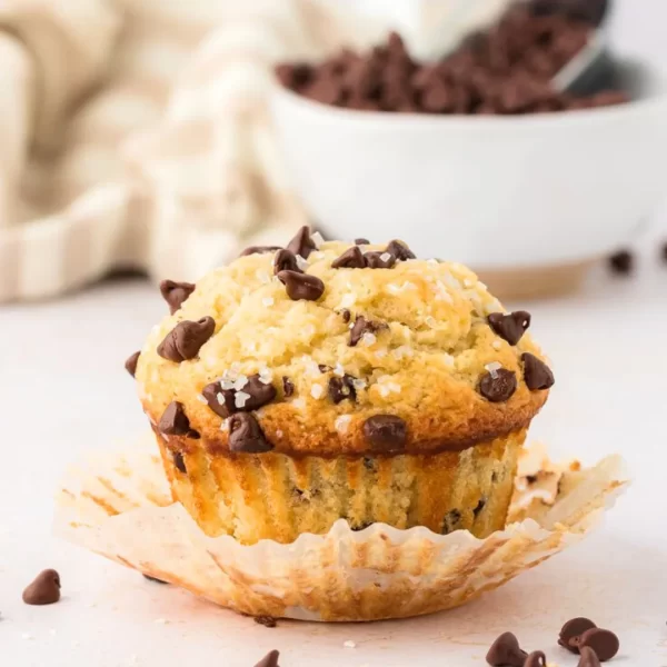 Choco Chip Muffins